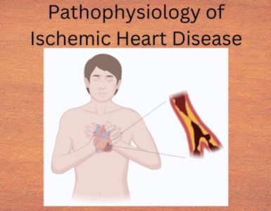 pathophysiology of ischemic heart disease