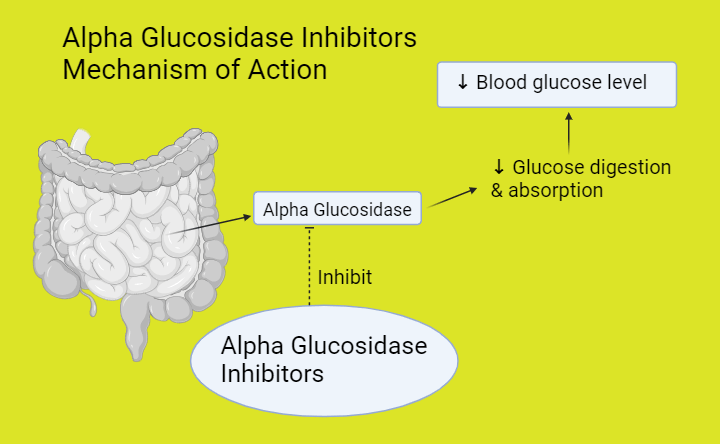 classification of antidiabetic drugs