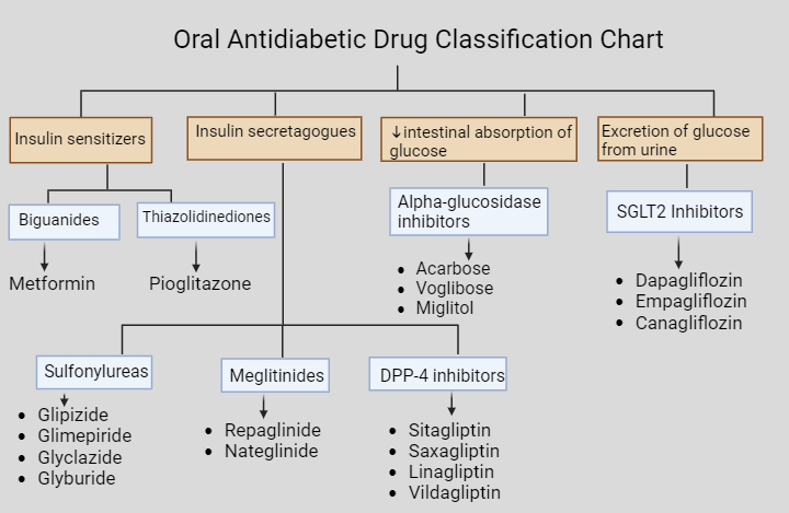 Classification Of Antidiabetic Drugs