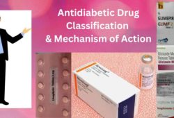 antidiabetic drug classification